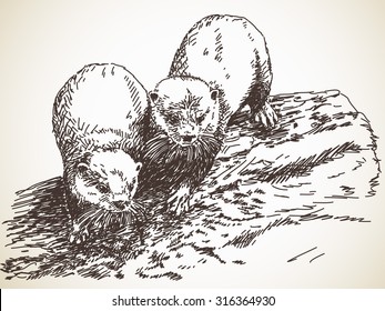 Couple of Asian Small-Clawed Otters, Hand drawn illustration, Vector sketch