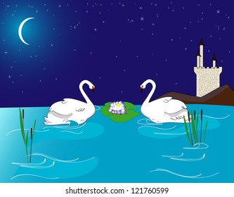 A couple of beautiful swans on the lake at midnight