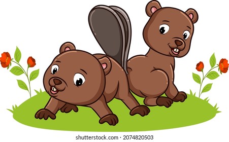The couple beaver is playing together in the park of illustration