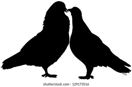 Couple of a beloved doves, vector silhouette