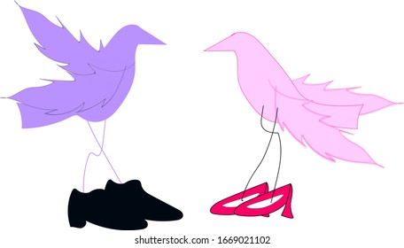 couple bird vector with shoes
