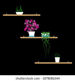 Couple of board attached to the wall with not the same and beautiful flowers on black background