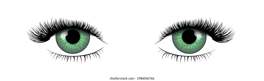 Couple of bright green realistic eyes with beautiful eyelashes isolated on white