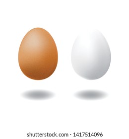 A couple of brown chicken egg and white duck egg. Isolated on white background with shadow. Ready to use for your design or business. Vector illustration.