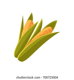 Couple of cartoon style ripe corn cobs, ears with green leaves, vector illustration isolated on white background. Two cartoon style cobs, ears of corn crop, farm product
