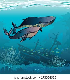 Couple of cartoon whales swim in the blue sea. Underwater vector.