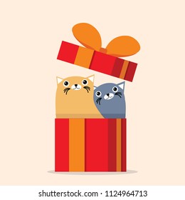 couple cat with gift box