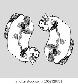 Couple of cats in art graphic hand drawn style. For t-shirt print in white and black colors