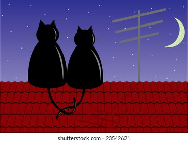 Couple cats sitting on roof