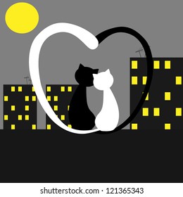 Couple of cats watching the moonlight. Valentines day.