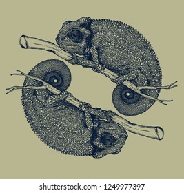 the couple chameleons hand drawing 