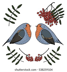 Couple of christmas robins with rowan on white background
