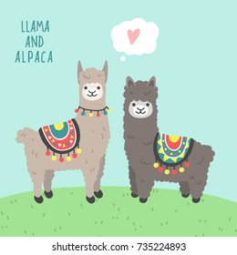 A couple of cute animals llama and alpaca in love standing on a green grass and smiling