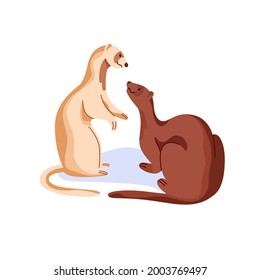 Couple of cute funny ferrets interacting. Communication between adorable animals. Weasels friends communicating. Interaction of minks. Flat cartoon vector illustration isolated on white background.