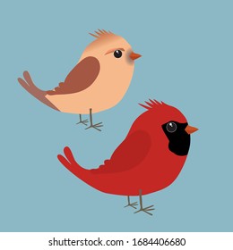 
A couple cute northern cardinals illustration  It is male   female bird
