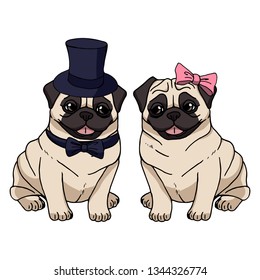 A couple of cute pugs isolated on white background. Vector dog illustration. Funny cartoon characters