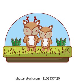 couple deer cute animal in the countryside