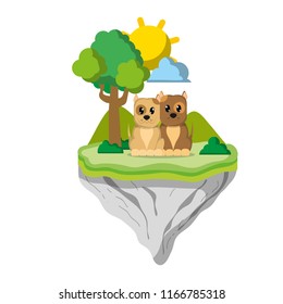couple dog animal in float island