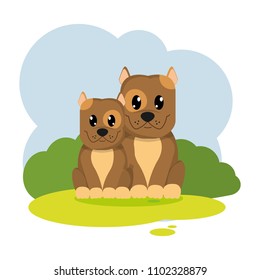 couple dog cute animal in the landscape