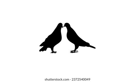 Couple of dove, black vector silhouette