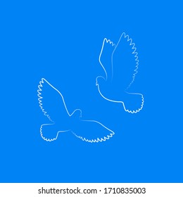 Couple of dove silhouette. White free birds in sky. pigeons. Vector illustration 