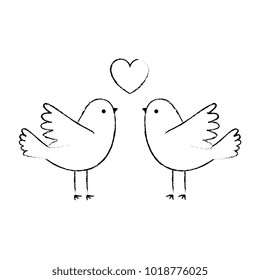couple doves flying with heart