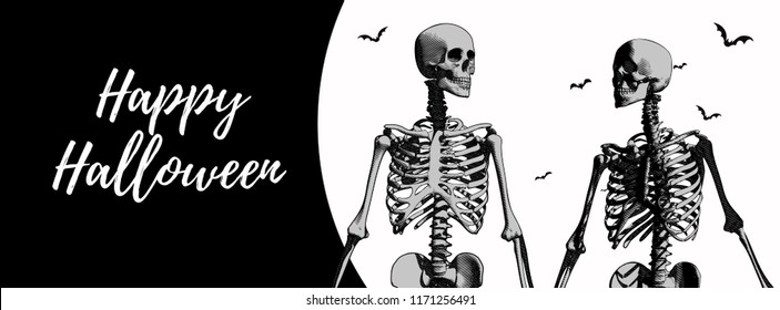 A couple engraving human skeleton black   white background for halloween banner