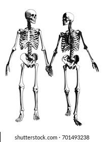 A couple of engraving skeleton in holding hand action illustration on monochrome color background