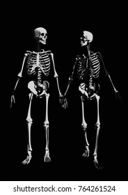 Skeleton Love Wallpapers  Top Free Skeleton Love Backgrounds   WallpaperAccess