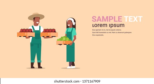 couple farmers holding boxes with red green tomatoes african american man woman harvesting vegetables agricultural workers eco farming concept flat full length copy space horizontal