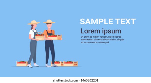 couple farmers holding red ripe tomatoes or apples box smiling man and woman harvesting vegetables and fruits agricultural worker eco farming concept flat full length