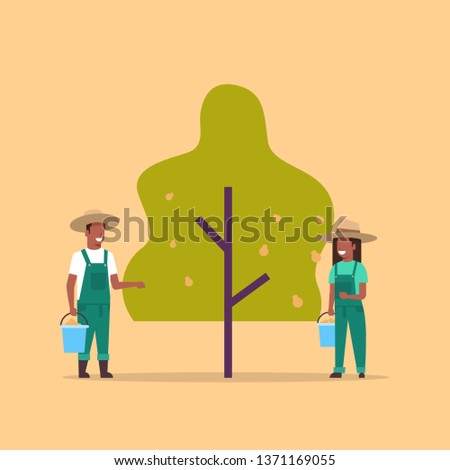 couple farmers picking pears from tree african american man woman gardeners harvesting ripe fruits gather harvest in garden agricultural concept farmland flat full length