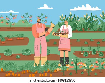 Couple of farmers standing in vegetable garden. Man and woman gathering harvest, planting crops, working on farm. Beds with carrots, peppers, tomatoes, cabbage, corn. Vector character illustration