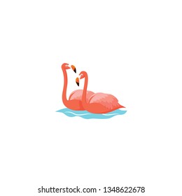 Couple flamingo vector on a white background