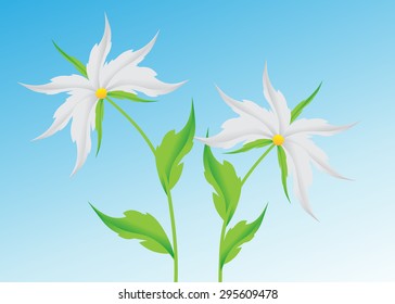 Couple of flowers against the blue sky
