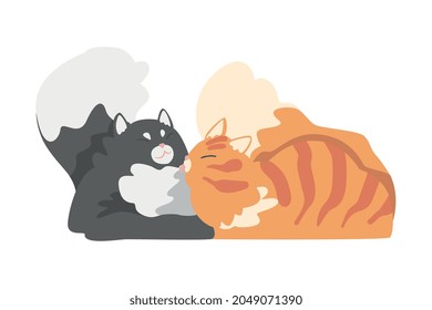 Couple of Fluffy Cats in Love Cuddling Vector Illustration