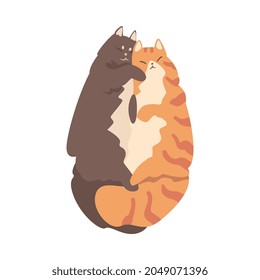 Couple of Fluffy Cats in Love Cuddling Vector Illustration