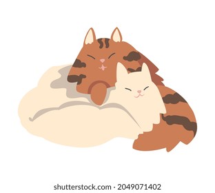 Couple of Fluffy Cats in Love Cuddling Vector Illustration