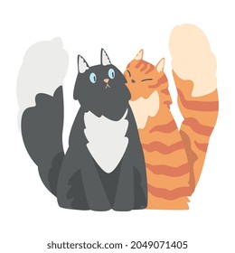 Couple of Fluffy Cats in Love Cuddling Vector Illustration