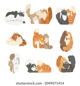 Couple of Fluffy Cats in Love Fawning and Cuddling Vector Set