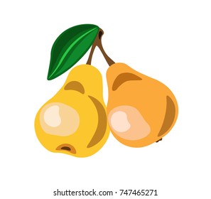 Couple of fresh ripe pears with green leaf