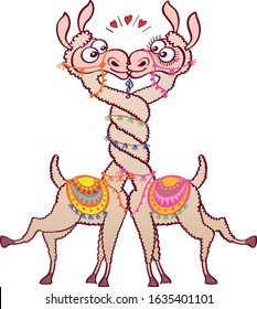 Couple of funny llamas wearing colorful ornaments when having a romantic encounter. They intertwine necks, touch their lips and show red hearts while falling in love. Slimy kiss