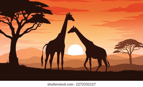 A couple of giraffes at sunset or dawn