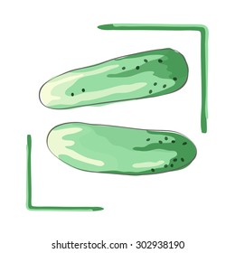 couple green cucumbers vector isolated on white