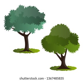 Casal de árvores verdes ilustração vetorial no fundo branco