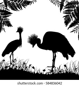 couple Grey crowned crane, Black crowned crane stands on land with grass and flowers black silhouette isolated on white background. banner template, card design. Vector