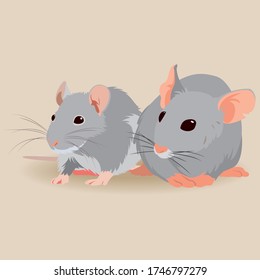 couple of grey mice. Mouse and rat in grey color.Vector illustration.