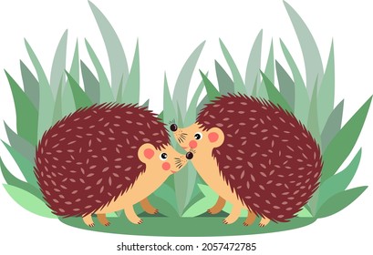 Couple of hedgehog on forest
