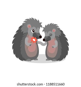 Couple of hedgehogs, hedgehog giving a flower to another, cute animals cartoon characters vector Illustration on a white background