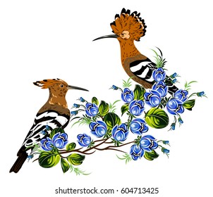 A couple of hoopoes on flowering branches